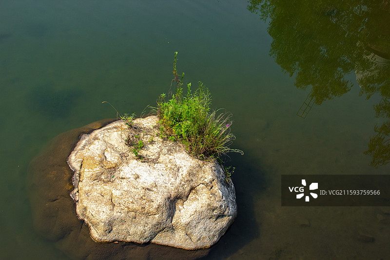 平静的水面中 一块巨石上生长着一簇绿草图片素材
