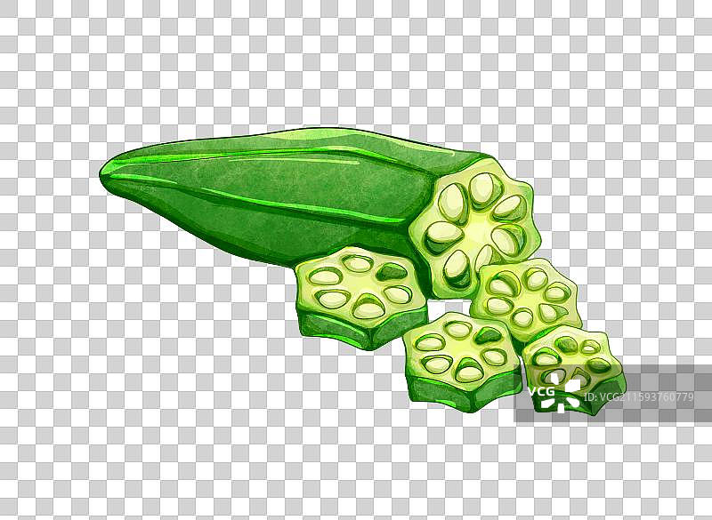 蔬菜元素秋葵图片素材