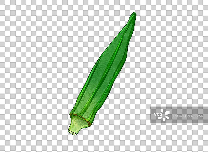 蔬菜元素一个秋葵图片素材