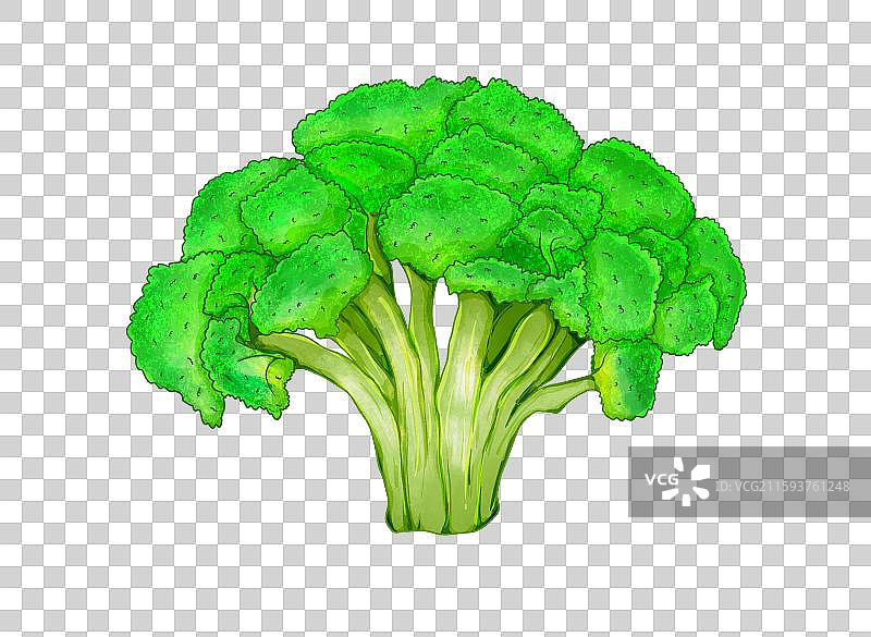 蔬菜元素西兰花图片素材