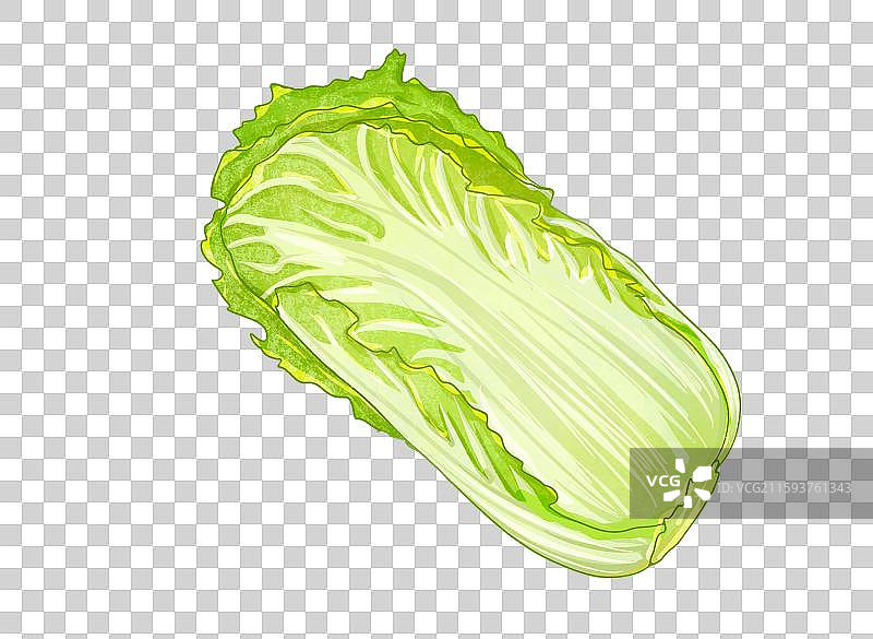 蔬菜元素大白菜图片素材