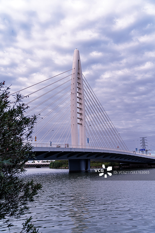 杭州湾世纪城图片素材