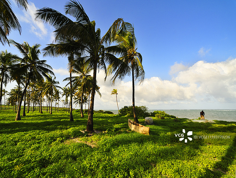 肯尼亚蒙巴萨海边的风光图片素材