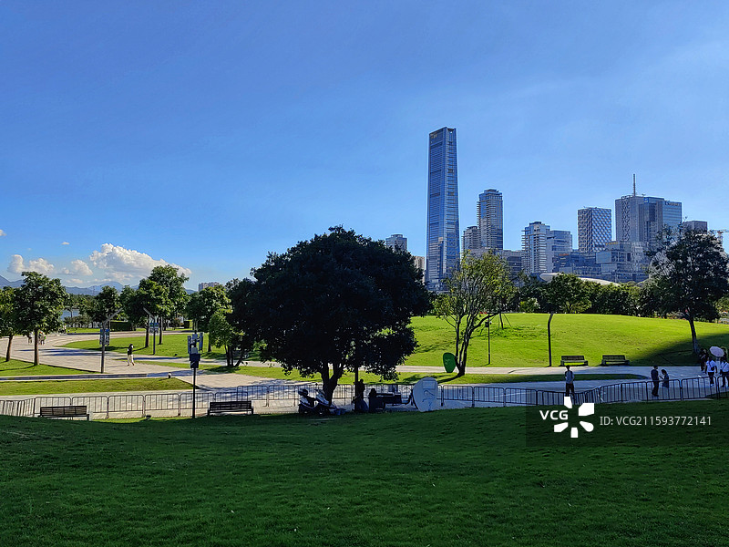 人才公园随拍 深圳湾，人才公园随拍，远处为深圳湾高楼建筑。图片素材