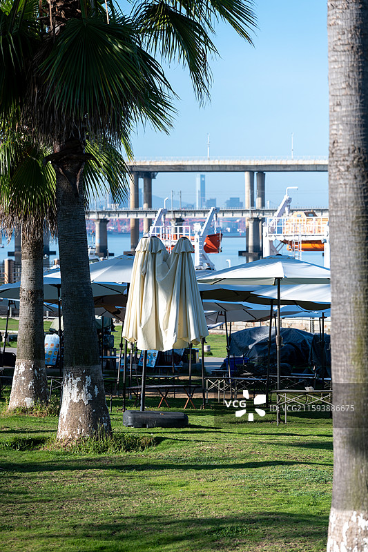 厦门集美区海堤纪念公园动车地铁晴天水晶天河畔棕榈树白色遮阳伞草地桥梁水域城市构图图片素材