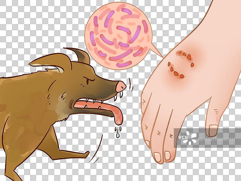 狂犬病 狂犬病毒 病毒 疯狗 畏光 猫狗 抓伤 犬图片素材