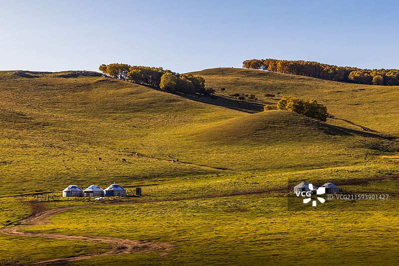 草原牧野图片素材