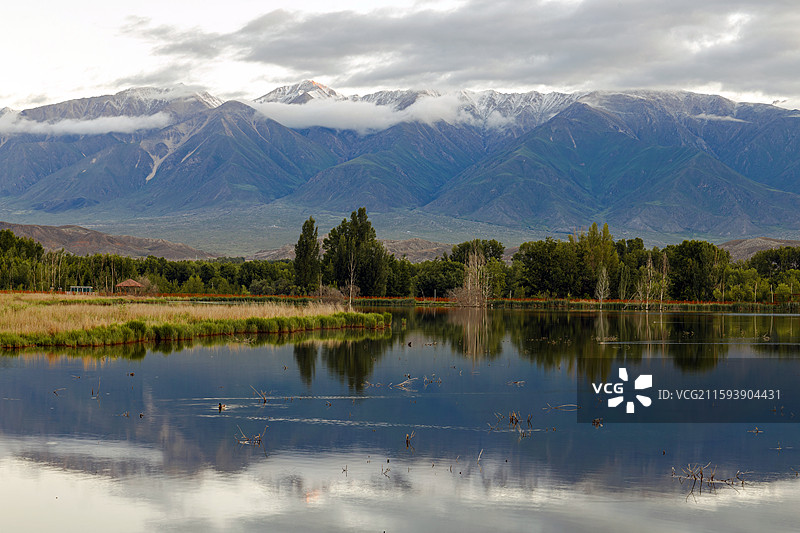新疆博尔塔拉蒙古自治州温泉县博格达尔森林公园图片素材