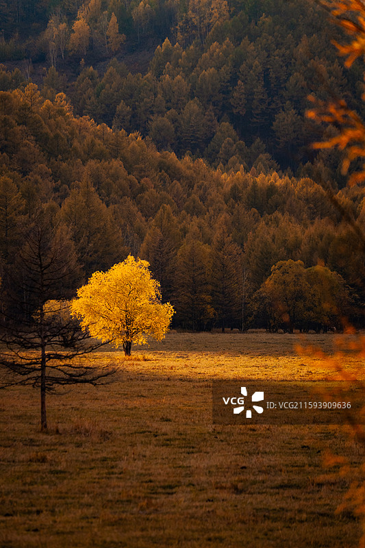 秋天的阿尔山和蘑阿公路图片素材