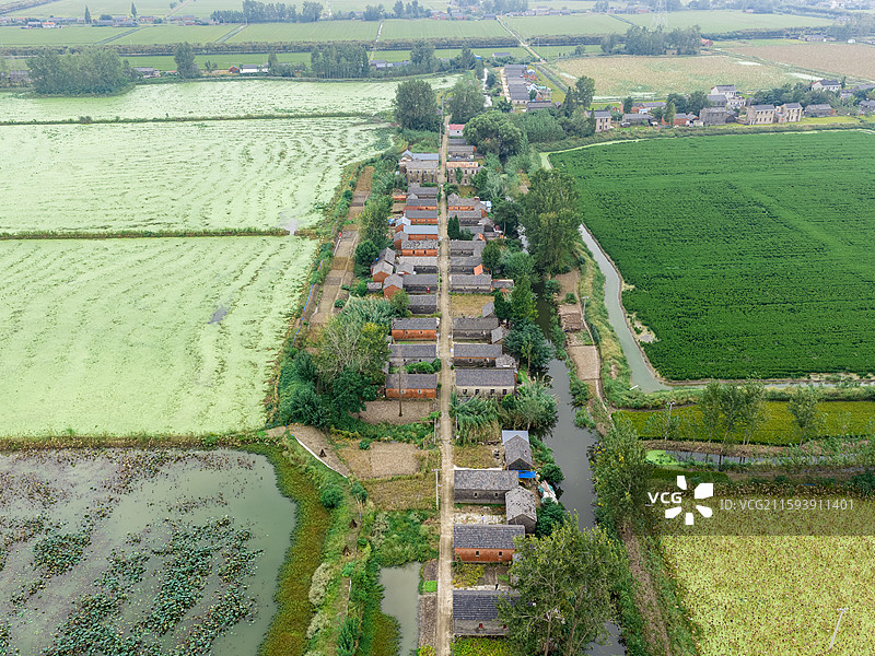 江苏省盐城市建湖县树桥村于墩组农村风光图片素材