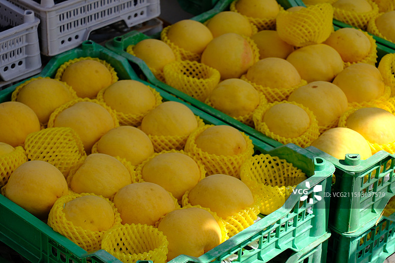 菜市场各种蔬菜水果海鲜。小银鱼。黄桃。葡萄。红石榴籽。胡萝卜。小辣椒图片素材