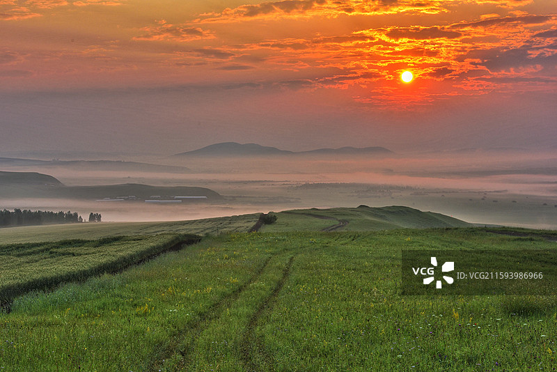 内蒙古呼伦贝尔特泥河湿地的日出图片素材