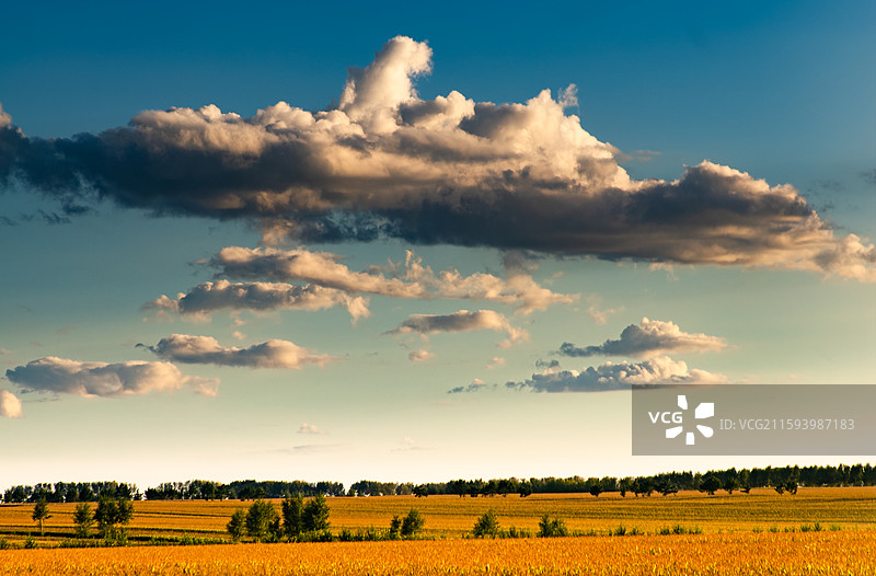 晨曦与黄昏下的松嫩平原农村景色图片素材