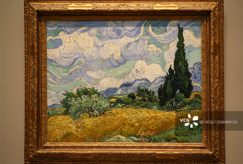 美国大都会博物馆展出的著名画家梵高的作品《麦田与柏树》图片素材