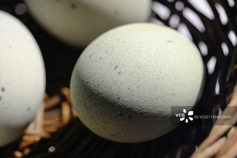 白色背景下。柳编筐里的松花蛋。皮蛋。绿色野草。设计素材科普图图片素材