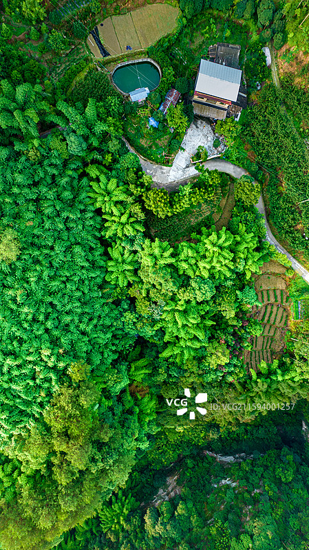 航拍四川乐山西坝镇桫椤谷图片素材