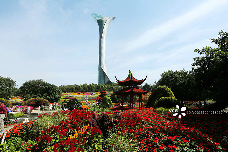 抗战胜利80周年花坛亮相沈阳植物园菊花展。辽宁沈阳植物园第25届菊花文化周开启。图片素材