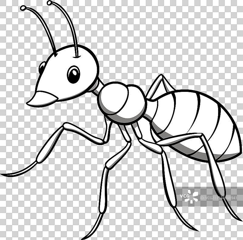 腐肉甲虫游泳图标图片素材