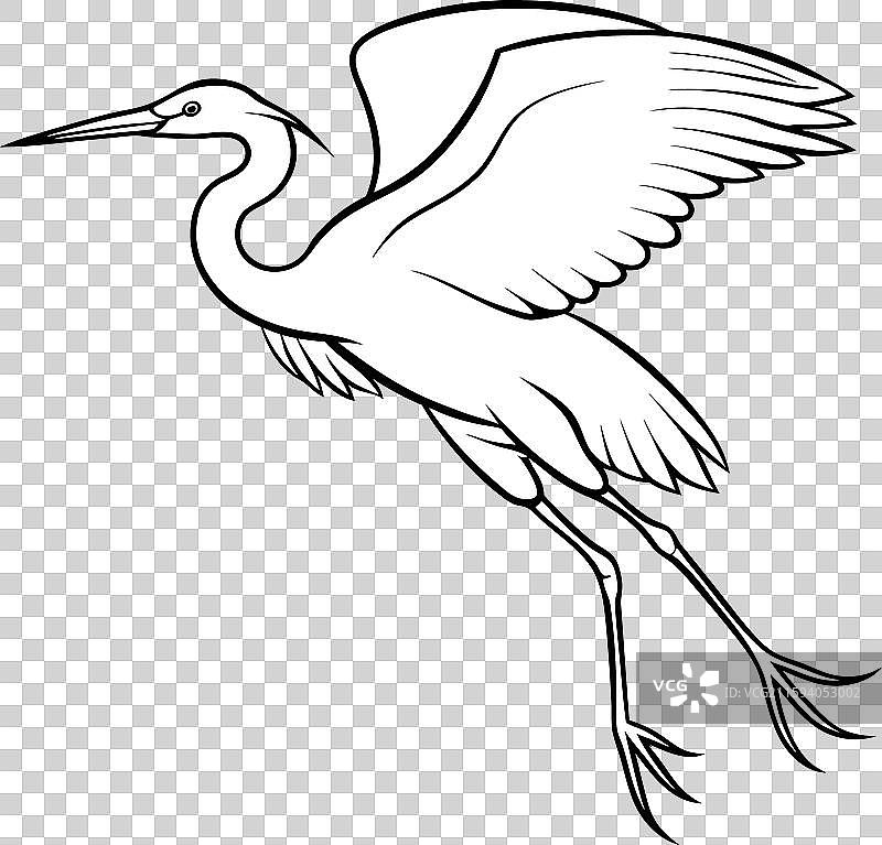 鸸鹋学习图标图片素材