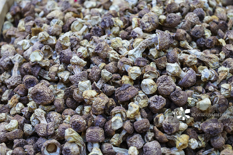 东北早市上的各种新鲜蘑菇和干蘑菇组图图片素材
