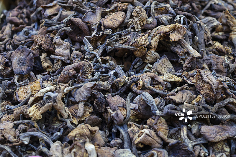 东北早市上的各种新鲜蘑菇和干蘑菇组图图片素材