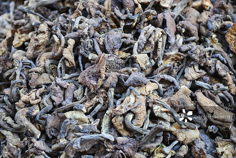 东北早市上的各种新鲜蘑菇和干蘑菇组图图片素材