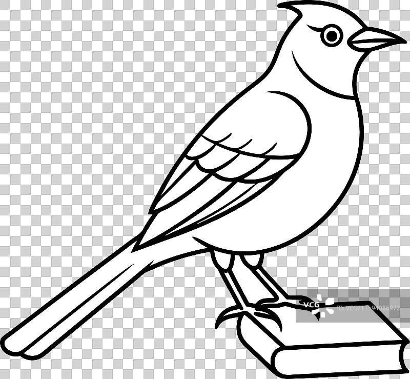 红松鸦鸟阅读图标图片素材