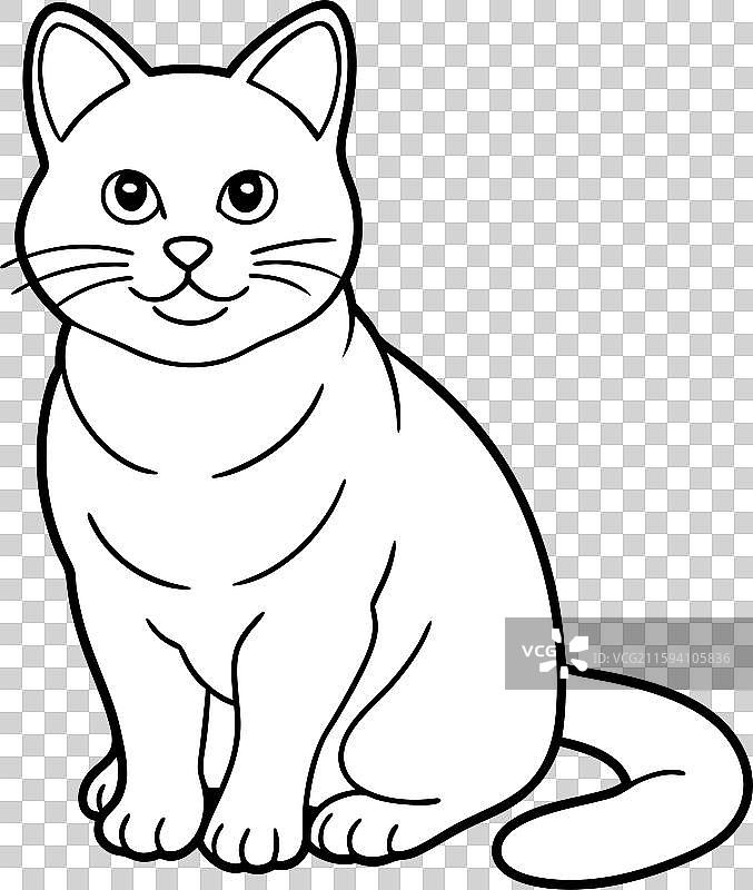 查尔特猫坐姿图标图片素材