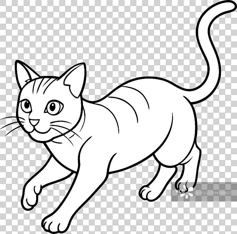 查尔特猫奔跑图标图片素材