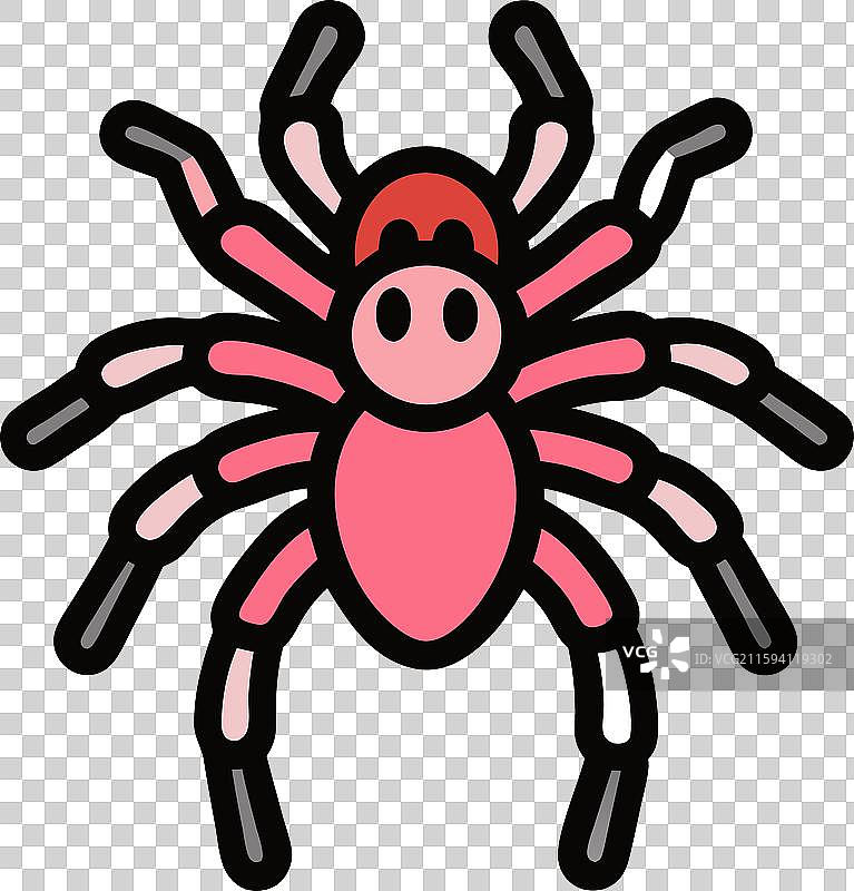 智利玫瑰狼蛛看起来像图标图片素材