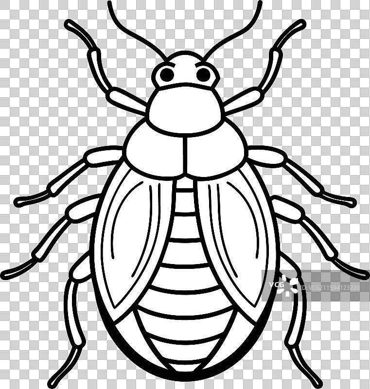 智利玫瑰狼蛛尖叫图标图片素材