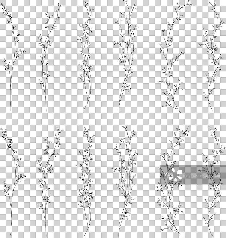 手持一束小型植物叶子和树枝图片素材