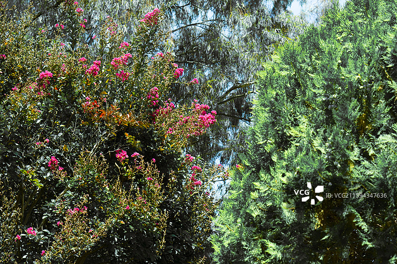 大理观音塘图片素材