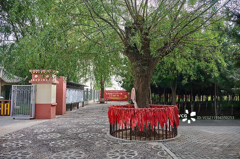 甘肃武威凉州白塔寺景区幸福柳图片素材