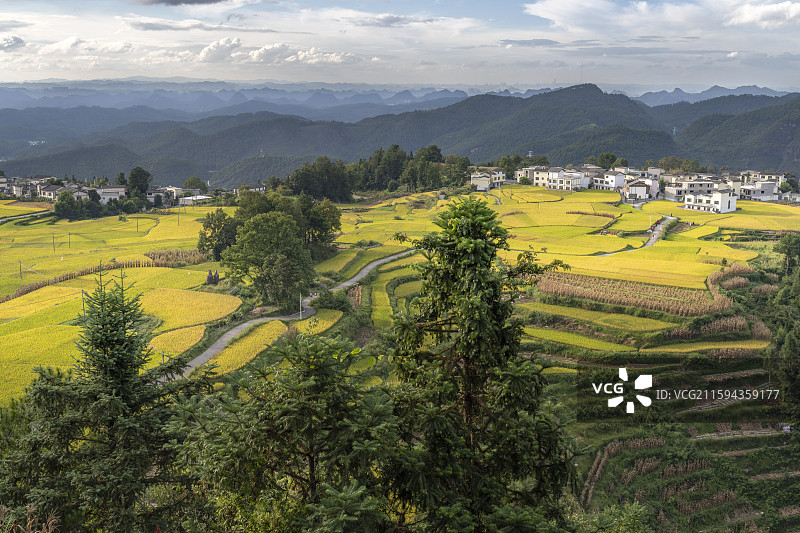 贵阳高坡石门梯田秋日田原风光图片素材