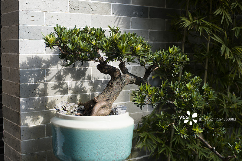 三元宫图片素材