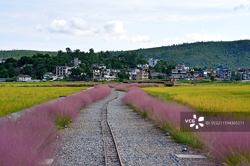 建水双龙桥稻田公园图片素材