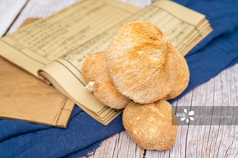 古书籍上的药材食物猴头菇图片素材