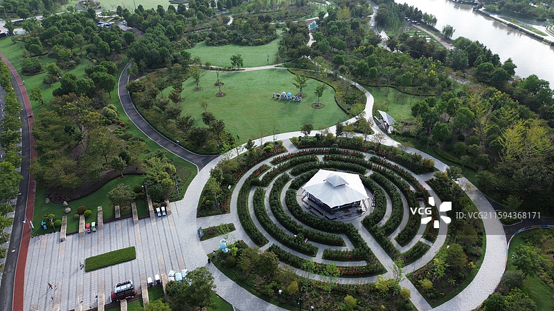 上海奉贤，上海之鱼，茶花迷宫，植物迷宫图片素材