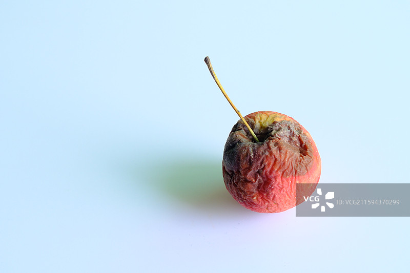 烂果子。烂苹果。腐烂的鸡心果。白色背景设计素材。背景分离图片素材