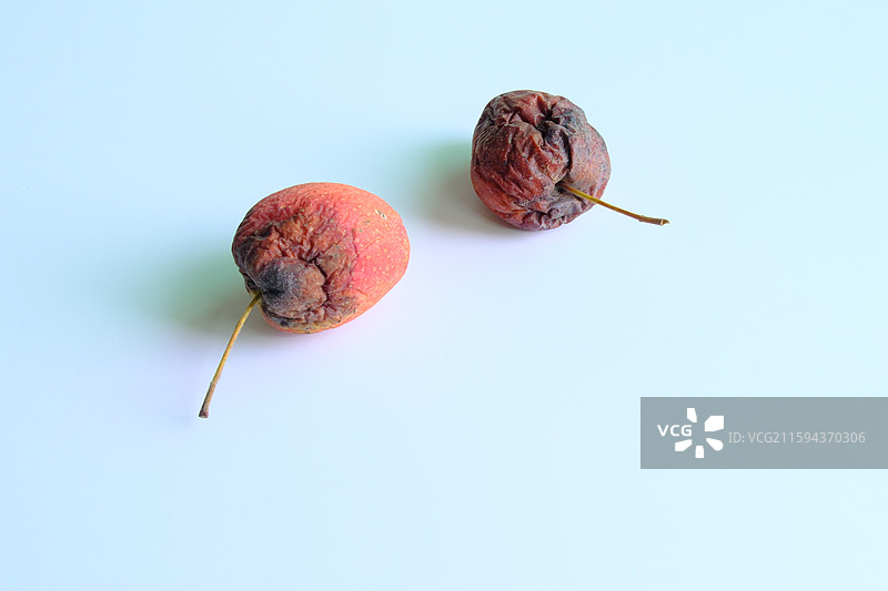 烂果子。烂苹果。腐烂的鸡心果。白色背景设计素材。背景分离图片素材