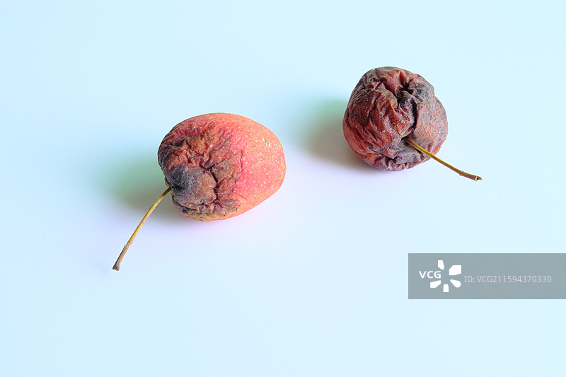烂果子。烂苹果。腐烂的鸡心果。白色背景设计素材。背景分离图片素材