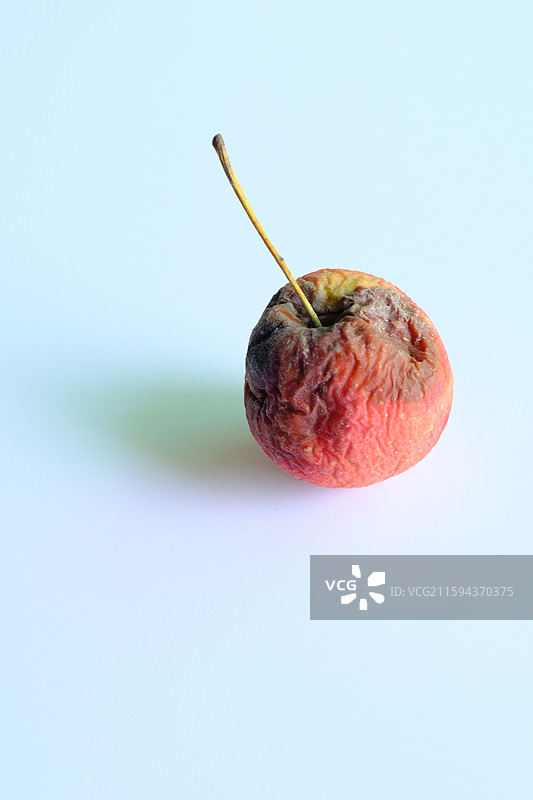 烂果子。烂苹果。腐烂的鸡心果。白色背景设计素材。背景分离图片素材