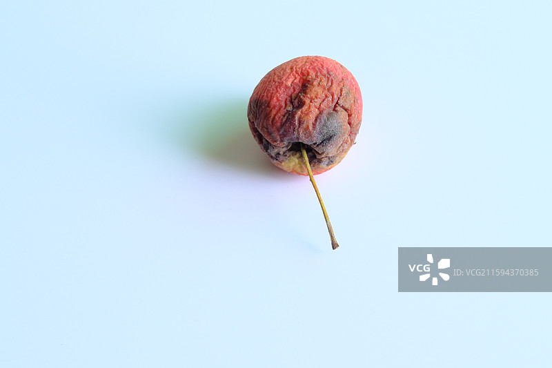 烂果子。烂苹果。腐烂的鸡心果。白色背景设计素材。背景分离图片素材