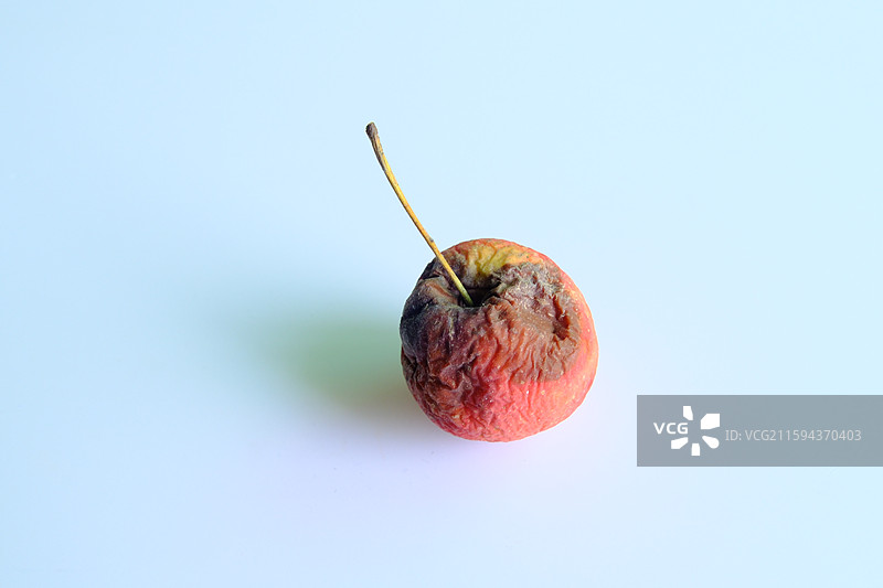 烂果子。烂苹果。腐烂的鸡心果。白色背景设计素材。背景分离图片素材