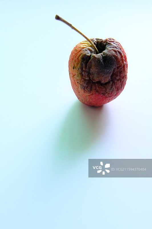 烂果子。烂苹果。腐烂的鸡心果。白色背景设计素材。背景分离图片素材