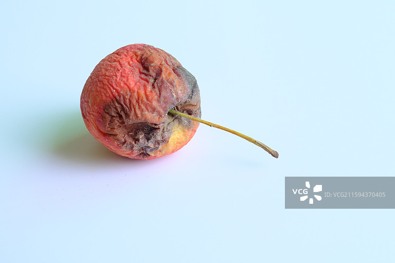 烂果子。烂苹果。腐烂的鸡心果。白色背景设计素材。背景分离图片素材