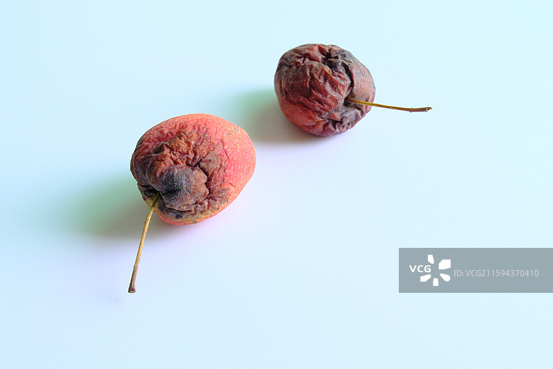 烂果子。烂苹果。腐烂的鸡心果。白色背景设计素材。背景分离图片素材