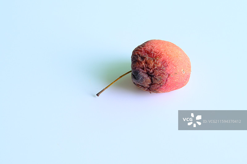 烂果子。烂苹果。腐烂的鸡心果。白色背景设计素材。背景分离图片素材