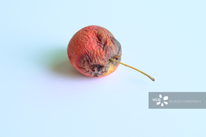 烂果子。烂苹果。腐烂的鸡心果。白色背景设计素材。背景分离图片素材